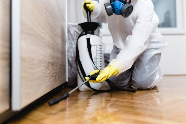 Best Pest Inspection Near Me  in Golden Gate, FL