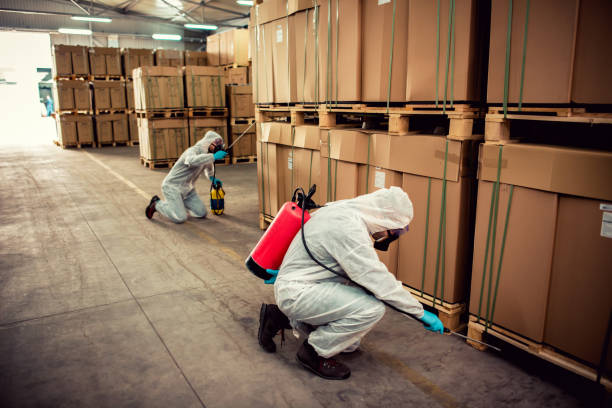 Reliable Golden Gate, FL Pest Control Solutions