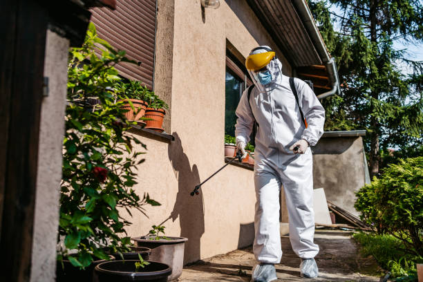 Best Bed Bug Extermination  in Golden Gate, FL