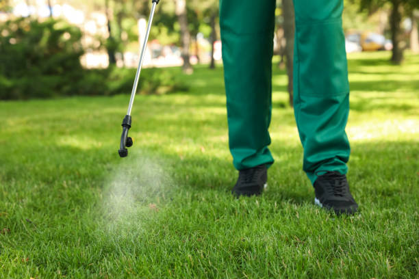 Best Ant Control Services  in Golden Gate, FL