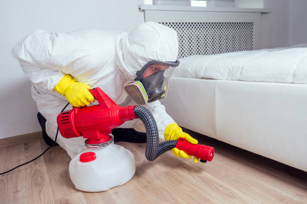 Best Pest Control Near Me in Golden Gate, FL