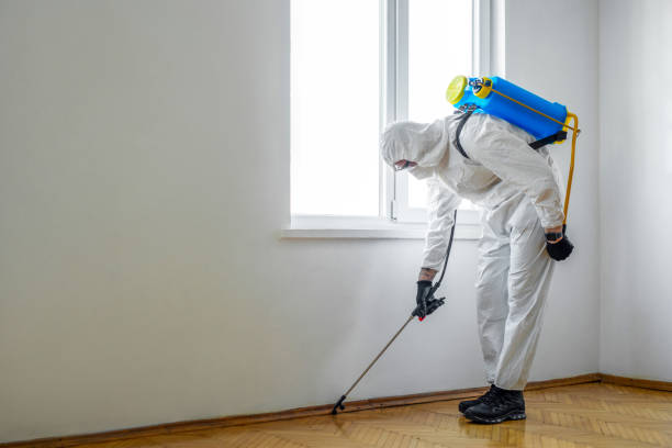 Best Pest Control for Restaurants  in Golden Gate, FL