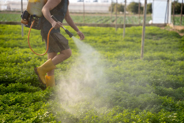 Best Mosquito Control Services  in Golden Gate, FL