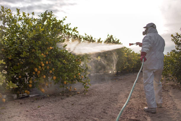 Best Flea Control Services  in Golden Gate, FL