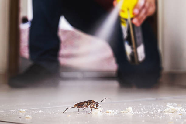 Best Bed Bug Extermination  in Golden Gate, FL