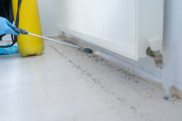Pest Control for Restaurants in Golden Gate, FL