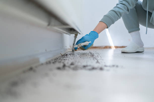 Best Best Pest Control Companies  in Golden Gate, FL