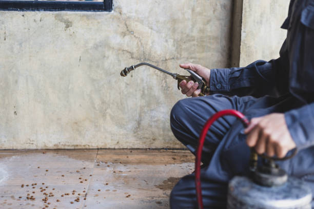 Best Residential Pest Control  in Golden Gate, FL